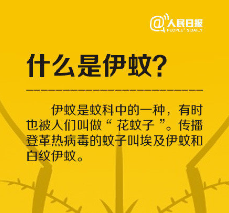 登革热进入高发季节,上海市已报告输入性病例9例 登革热进入高发季节,上海市已报告输入性病例9例