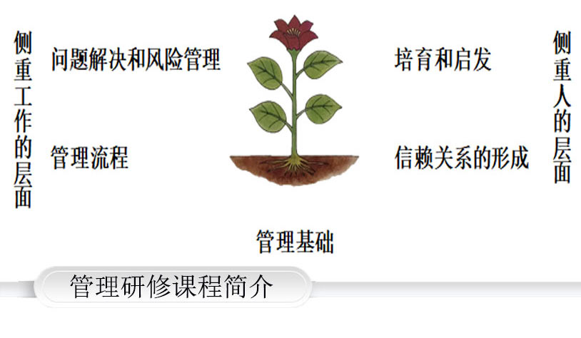 Management Training Program管理研修课程