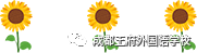 来了！成都王府云上周刊
