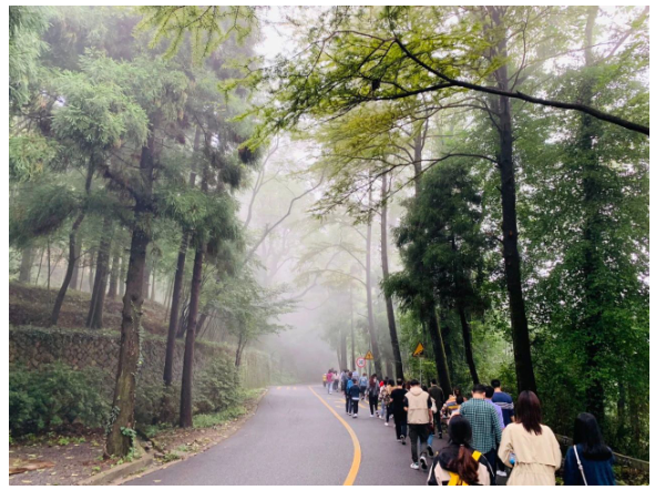 携手同行，共赢未来|2020年团建活动完美落幕
