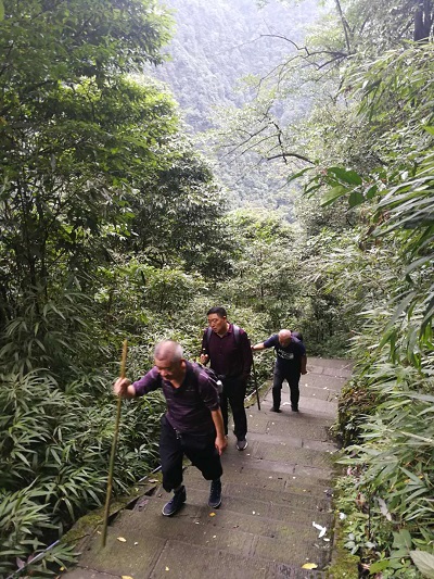 登峨嵋圣山 看天下奇觀 登峨嵋圣山 看天下奇觀