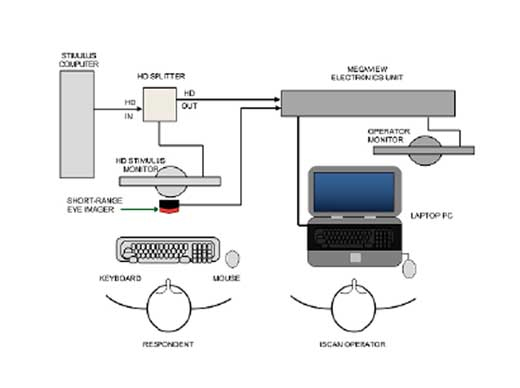 ETL-300 遥测式双目眼动追踪系统