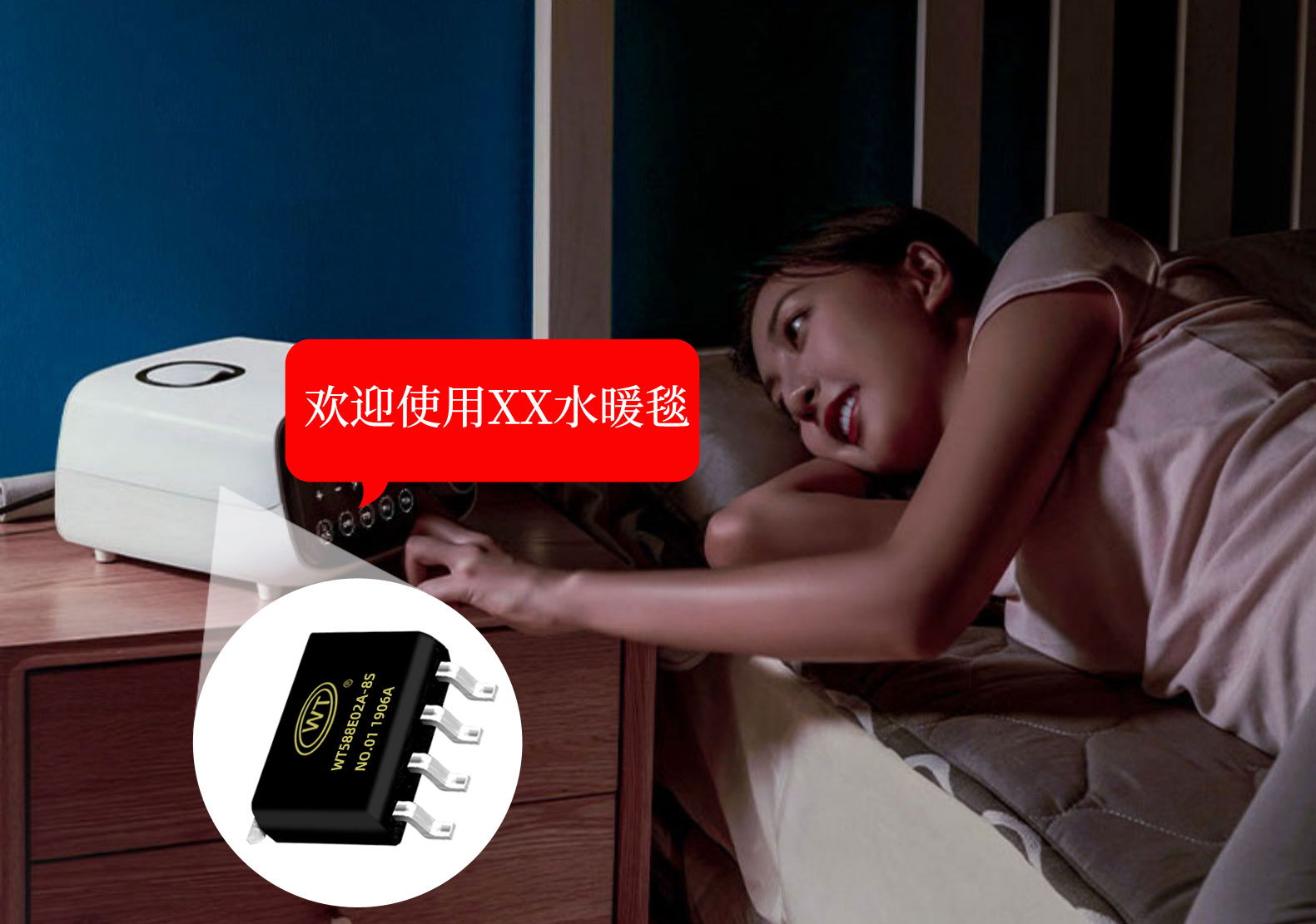 WT588E02A-8S语音芯片 WT588E02A-8S语音芯片