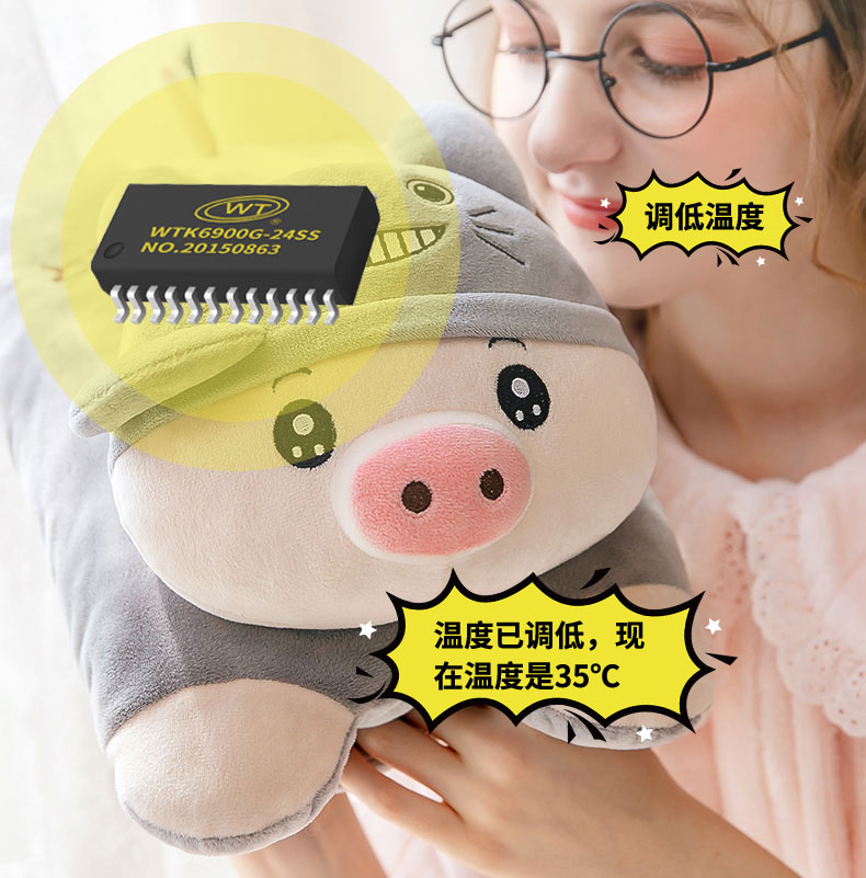 WTK6900G-24SS语音识别芯片