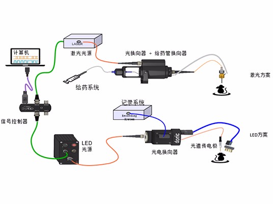 光遗传系统