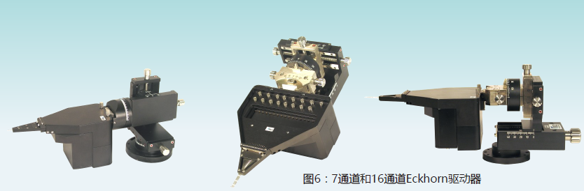 TREC Eckhorn微矩阵 TREC Eckhorn微矩阵