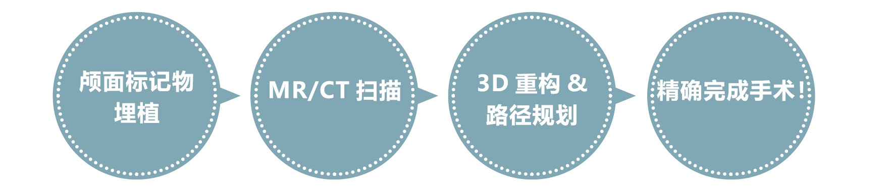 Brainsight猴脑导航系统 Brainsight猴脑导航系统