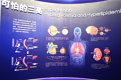 爱成都 迎大运 爱成都 迎大运