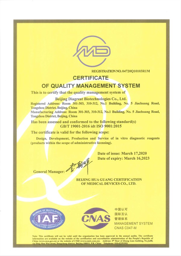 ISO 9001
