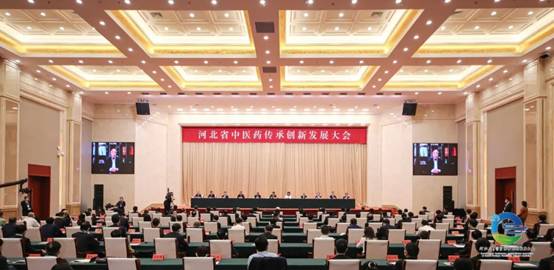 河北省中医药传承创新发展大会在安国市开幕 河北省中医药传承创新发展大会在安国市开幕