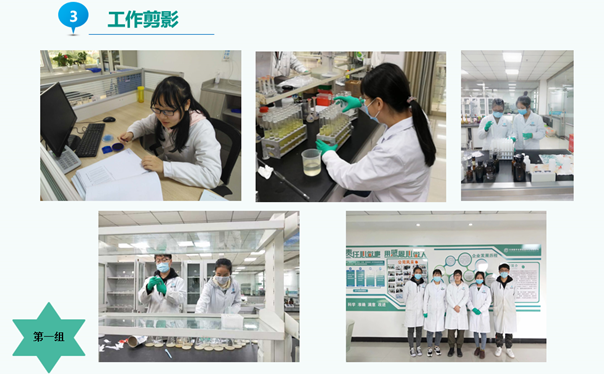 数字本草祝贺西北师范大学同学圆满完成实习任务