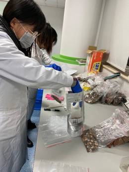 安国中药材质量可追溯项目采样火爆进行中! 安国中药材质量可追溯项目采样火爆进行中!