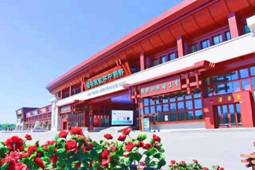 给力安国政府 助力行业新风 给力安国政府 助力行业新风