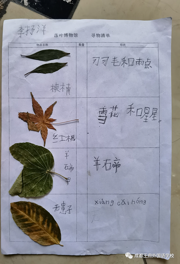 来自成都王府外国语学校的“小小艺术家们”