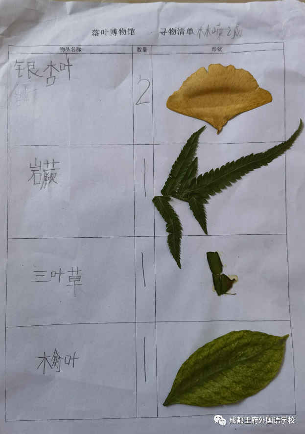 来自成都王府外国语学校的“小小艺术家们”