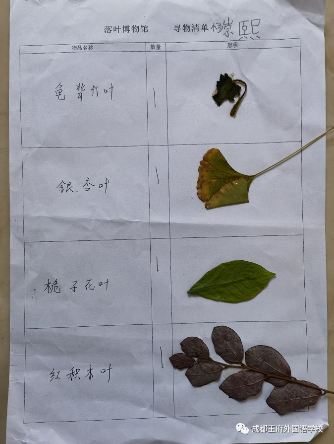 来自成都王府外国语学校的“小小艺术家们”