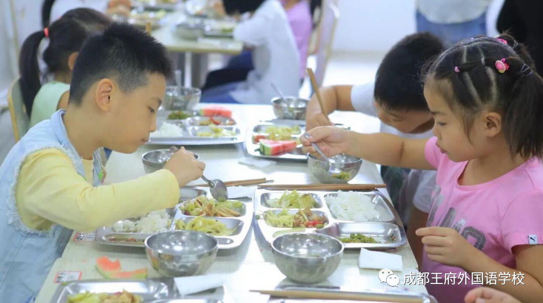 成都王府冬令营︱开启一个充满乐趣的寒假