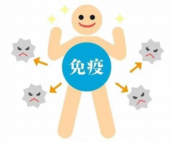 王府校园 ｜ 面对疫情，我们这样做！