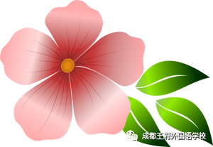 “小课堂”里看“大世界”——来自成都王府的趣味英语教学