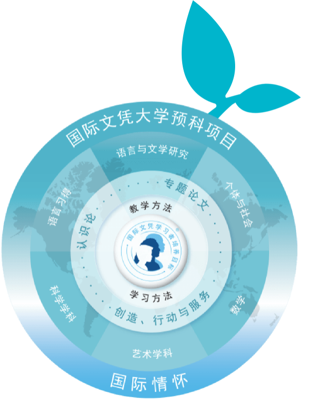 高中：国际文凭大学预科项目（IB DP）