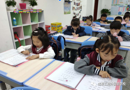 幼小衔接，您想了解的都在这里