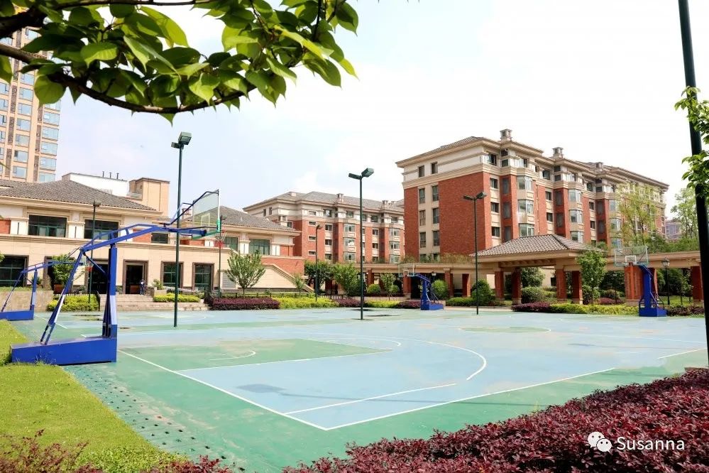 幼小衔接，您想了解的都在这里