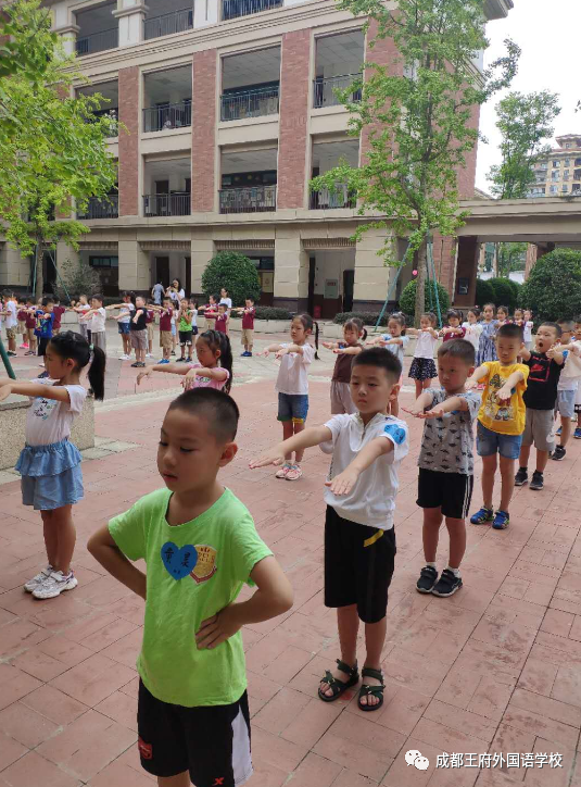 幼小衔接，您想了解的都在这里