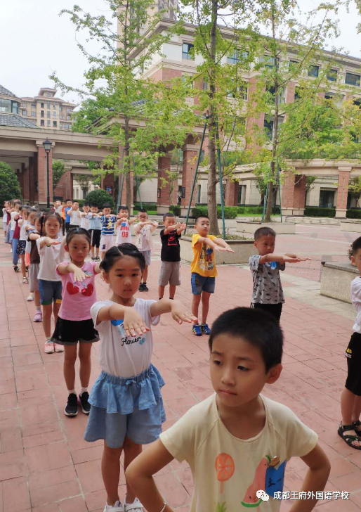 幼小衔接，您想了解的都在这里