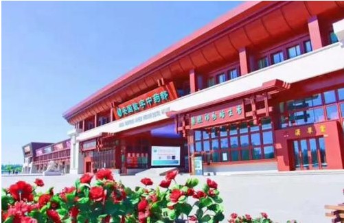 质量先行  种子入手—安国市政府加强种子质量检测