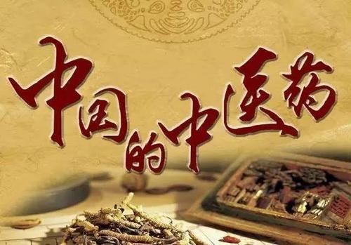 以药都之名 兴产业之盛—安国政府切实推动中医药高质量发展 以药都之名 兴产业之盛—安国政府切实推动中医药高质量发展