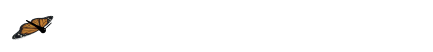 王府，百花千卉争明艳，一见钟情满园春