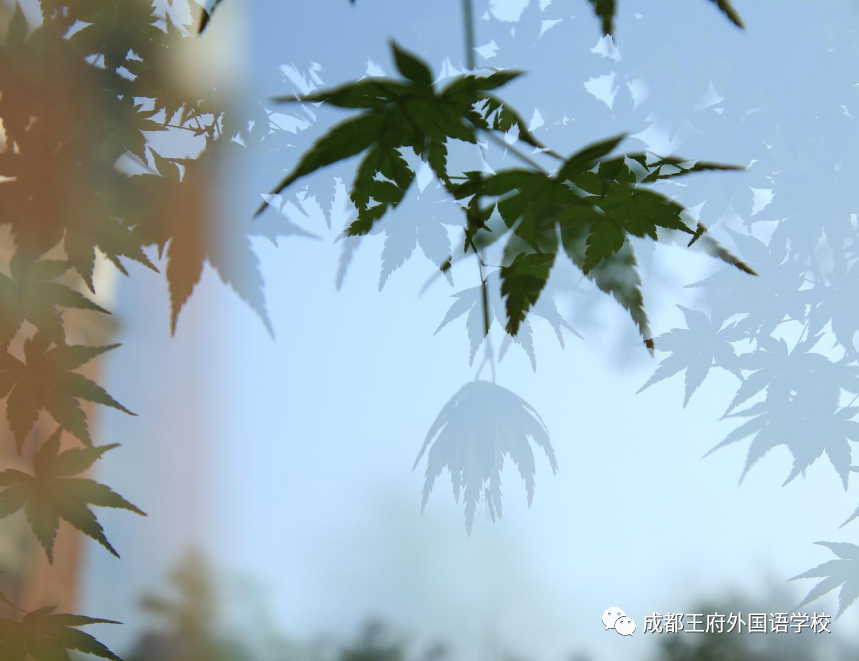 王府，百花千卉争明艳，一见钟情满园春
