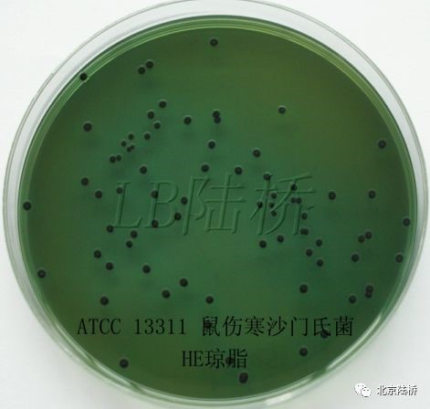 關(guān)于乳品中沙門氏菌檢測(cè)的那些事兒(上) 關(guān)于乳品中沙門氏菌檢測(cè)的那些事兒(上)
