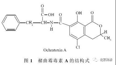 真菌毒素檢測(cè)技術(shù)——赭曲霉毒素A篇 真菌毒素檢測(cè)技術(shù)——赭曲霉毒素A篇