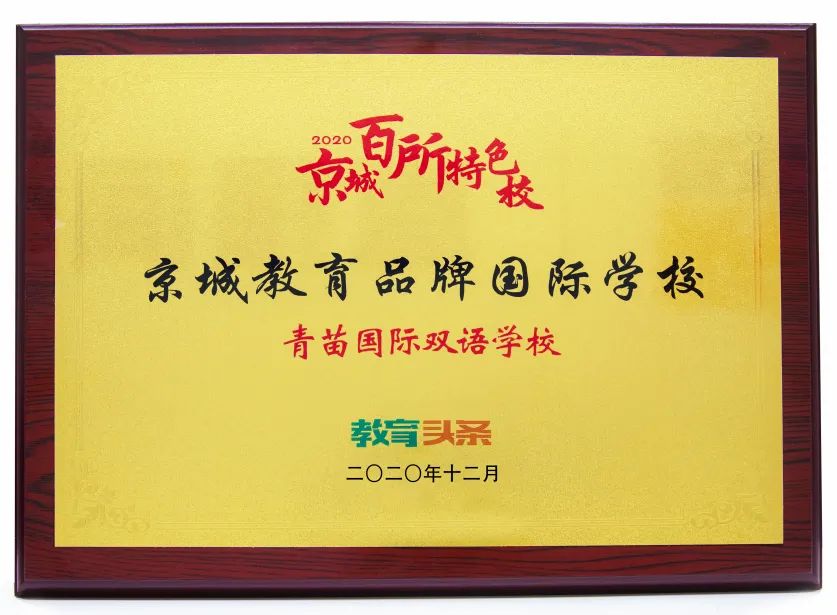 青苗赢绽2020,多项大奖再入囊中 2020 Awards of BIBS 青苗赢绽2020,多项大奖再入囊中 2020 Awards of BIBS