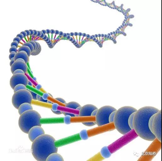 淺談微生物檢測中的分子生物學 淺談微生物檢測中的分子生物學