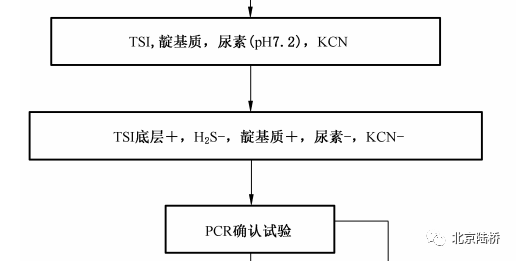 淺談微生物檢測中的分子生物學 淺談微生物檢測中的分子生物學