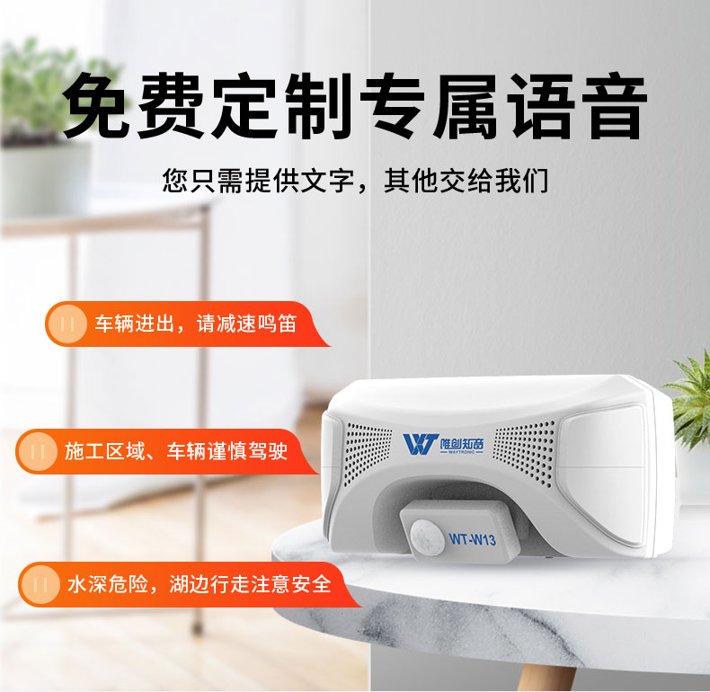 WT-W13 户外语音提示器
