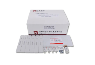【第1期】他克莫司-红龙扑克治疗药物监测（TDM）系列项目解读