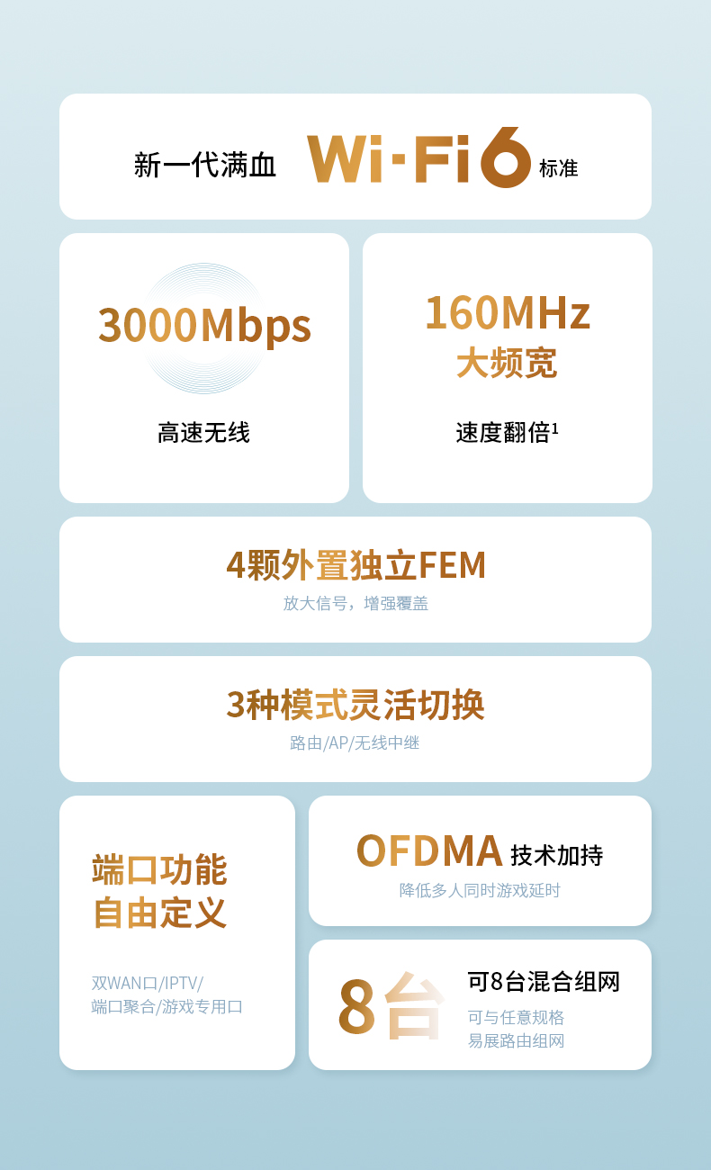 TP-3010易展版 支持WIFI6双千兆四线路由器