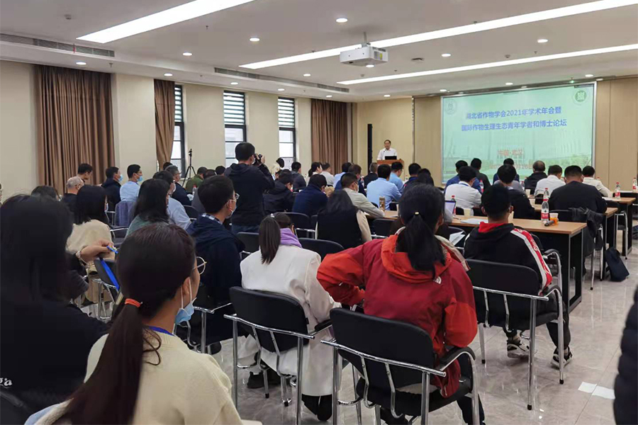 理加联合参加2021年国际作物生理生态青年学者论坛 理加联合参加2021年国际作物生理生态青年学者论坛