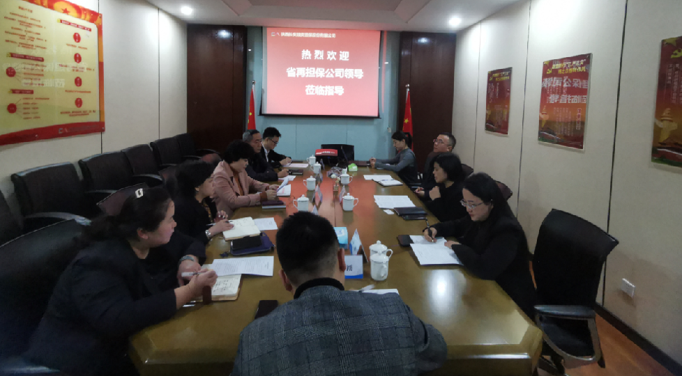 省再担保公司赴长安担保检查指导 年度指标完成情况 省再担保公司赴长安担保检查指导 年度指标完成情况