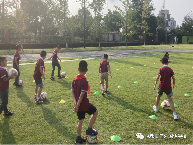 青春飞扬，色彩斑斓 —— 成都王府外国语学校小学部社团课介绍