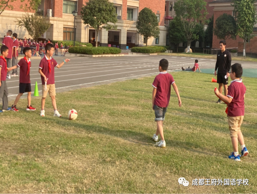 青春飞扬，色彩斑斓 —— 成都王府外国语学校小学部社团课介绍