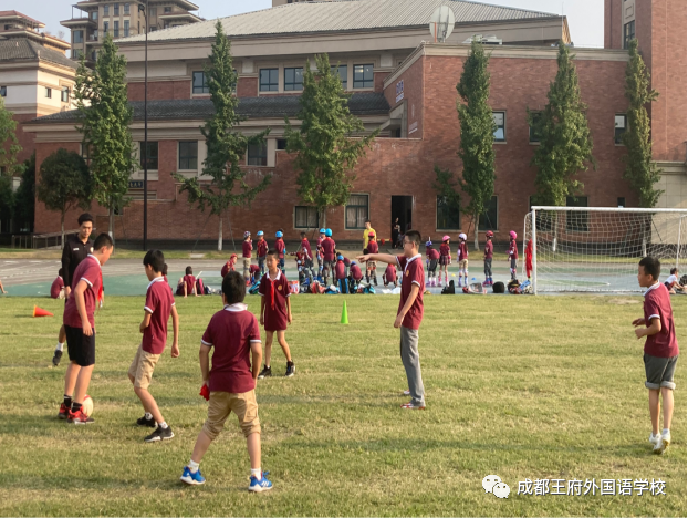 青春飞扬，色彩斑斓 —— 成都王府外国语学校小学部社团课介绍
