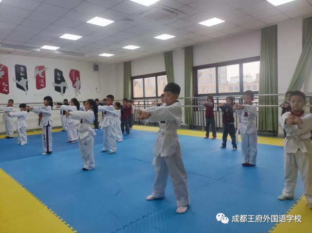 青春飞扬，色彩斑斓 —— 成都王府外国语学校小学部社团课介绍