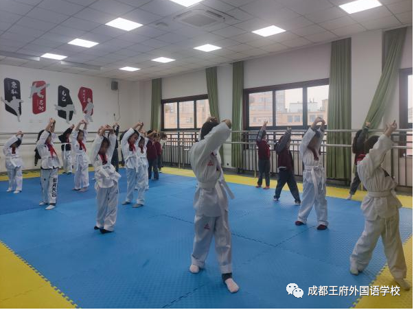 青春飞扬，色彩斑斓 —— 成都王府外国语学校小学部社团课介绍