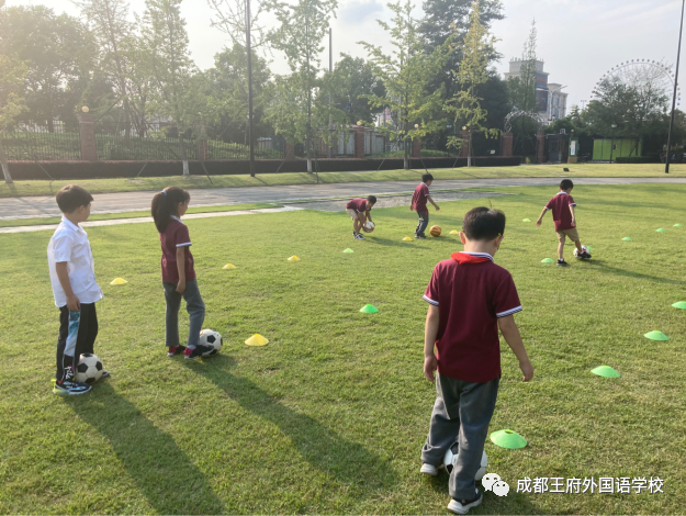 青春飞扬，色彩斑斓 —— 成都王府外国语学校小学部社团课介绍