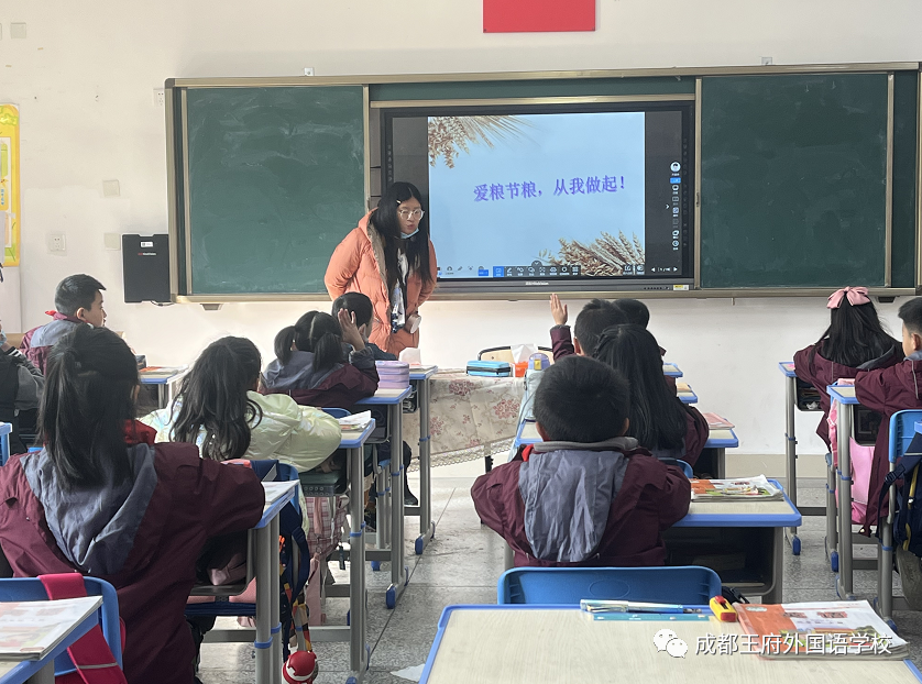 今天，你光盘了吗？