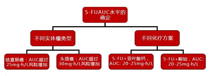 首发 | 5-氟尿嘧啶-红龙扑克科普治疗药物监测（TDM）系列新项目